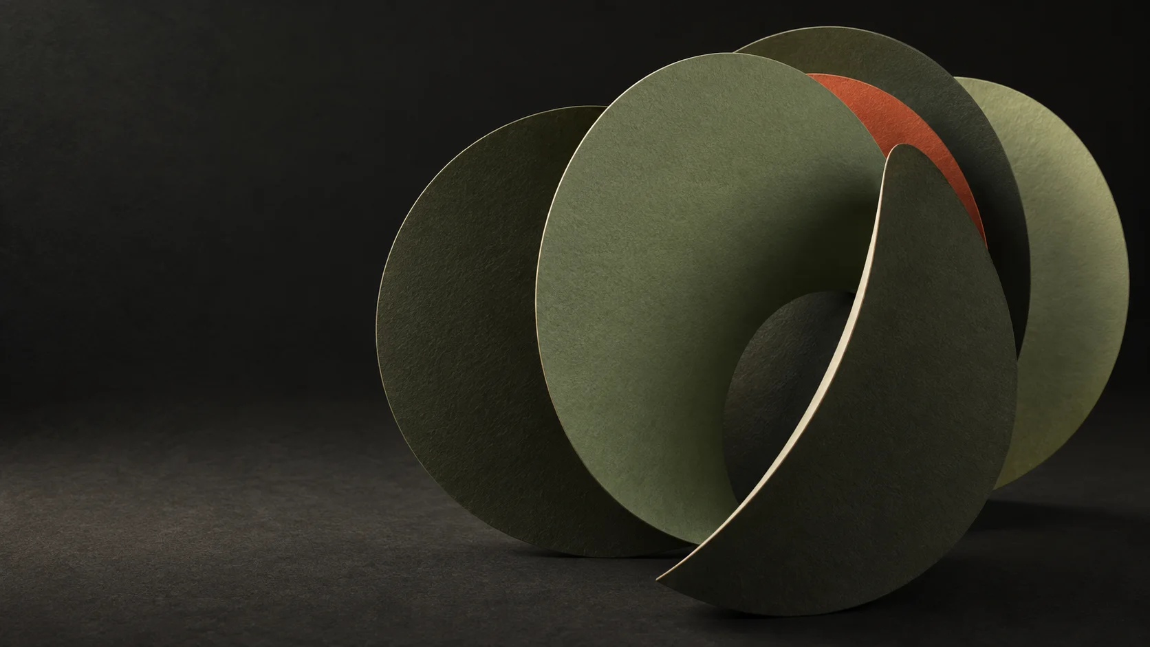 Des disques de papier sauge, encre et corail ouvrent un passage dans la pénombre